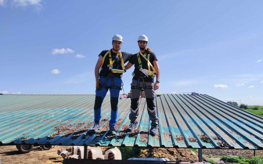 Electrofluxe y su batalla por las energías renovables